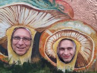 zloty lisc 2017 (13)